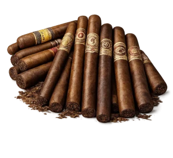 Cigars - Best Cigar Studio